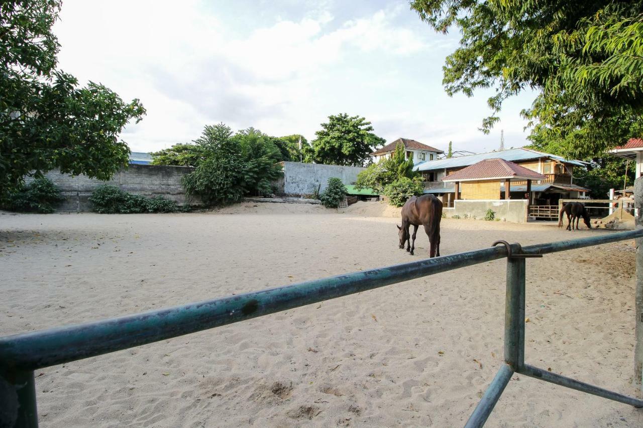 Mesari Beach Inn & Stables Seminyak (Bali) Exterior photo
